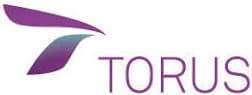 torus-logo